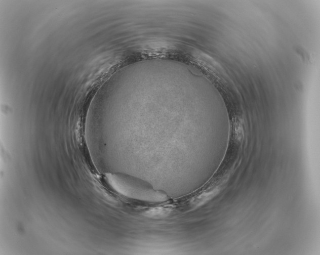 X0000091231060200708091414