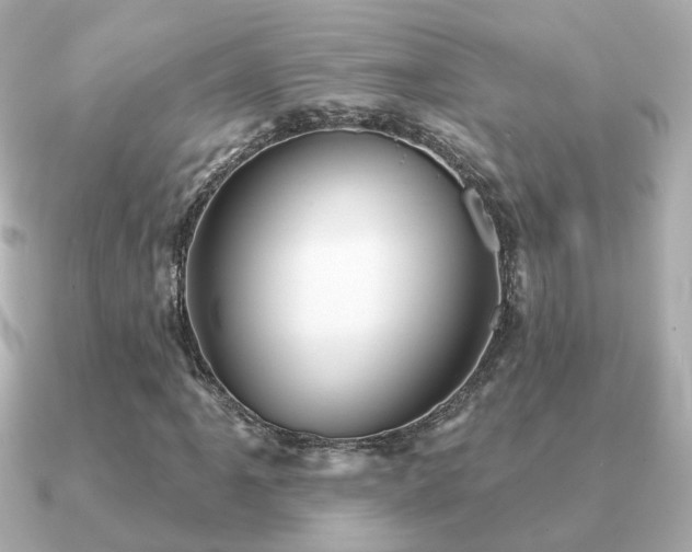 X0000091231061200708091414