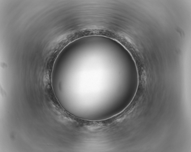 X0000091231062200708091414