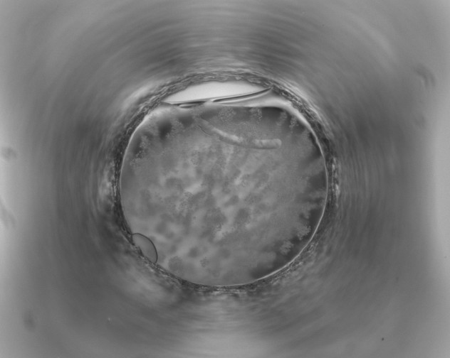 X0000091231063200708091414