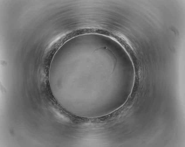 X0000091231064200708091414