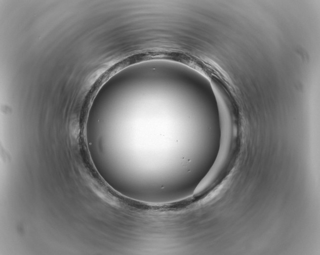 X0000091231065200708091413