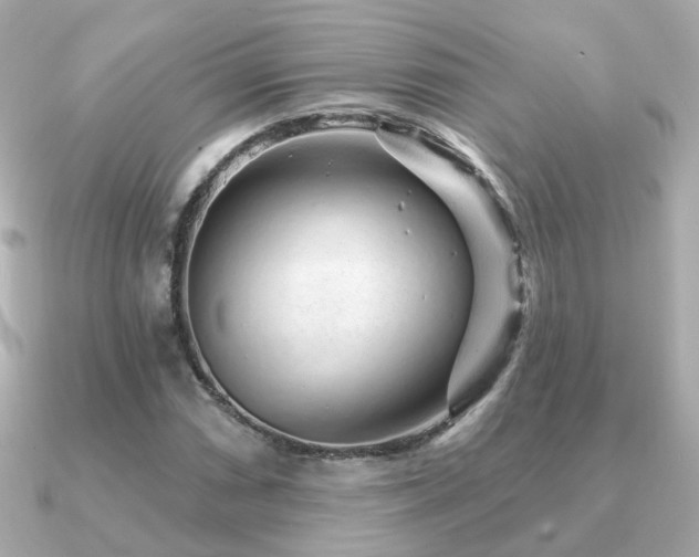 X0000091231066200708091413