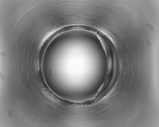 X0000091231069200708091413