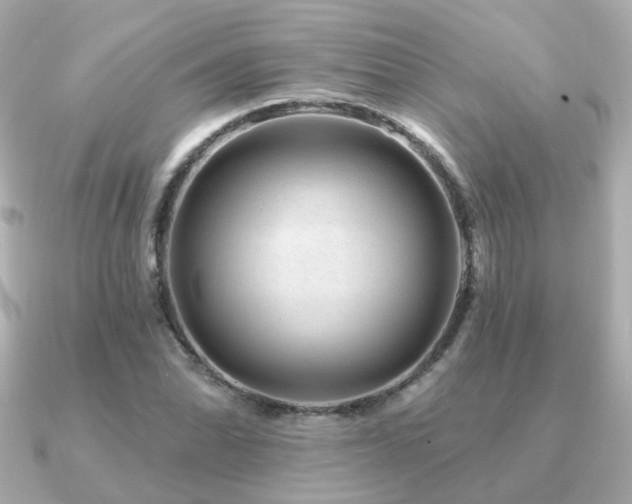 X0000091231070200708091413