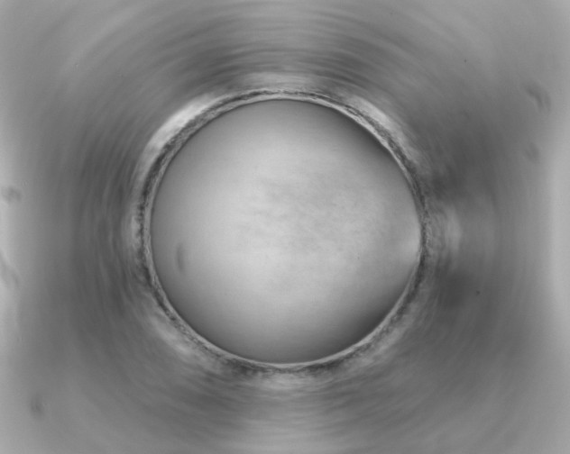 X0000091231074200708091413
