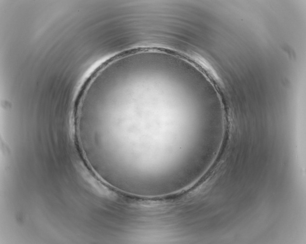 X0000091231076200708091413