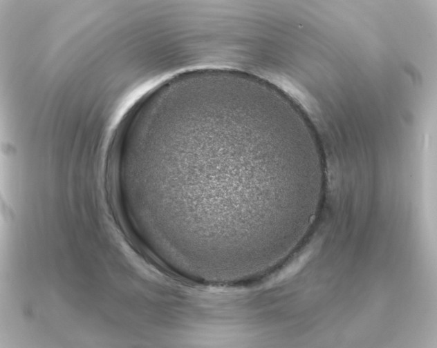 X0000091231077200708091413