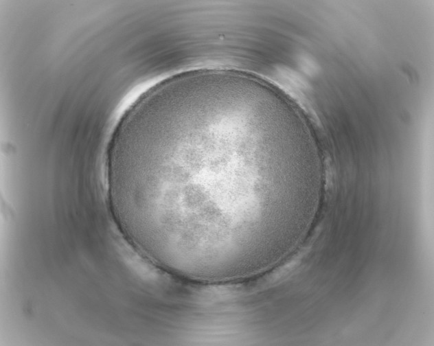 X0000091231078200708091413