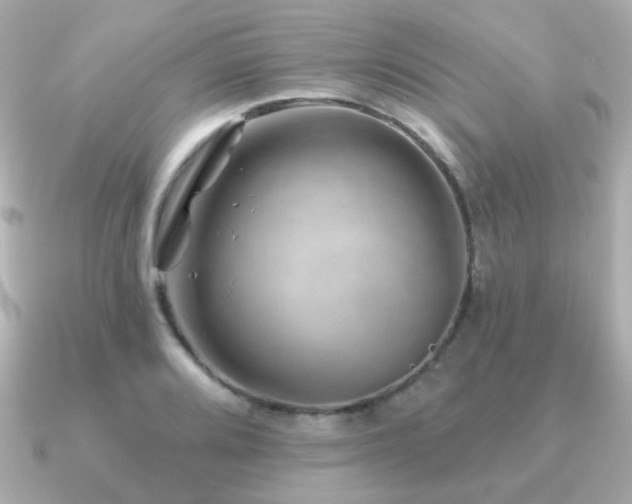X0000091231080200708091413