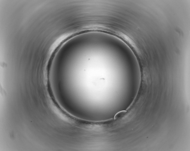 X0000091231082200708091413