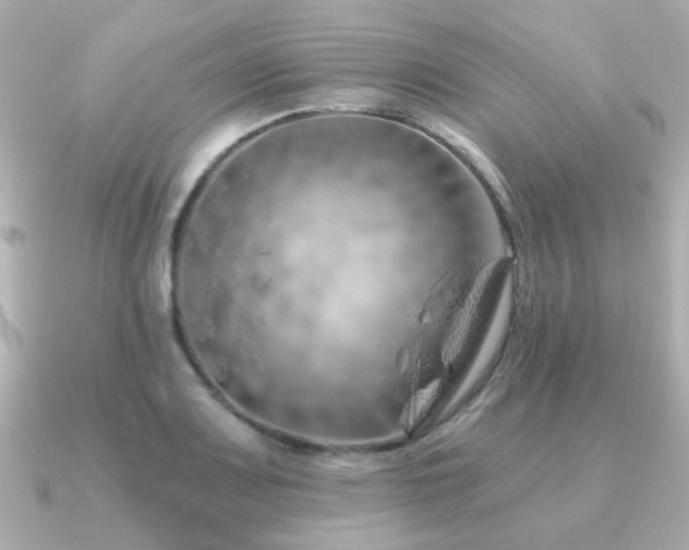 X0000091231083200708091413
