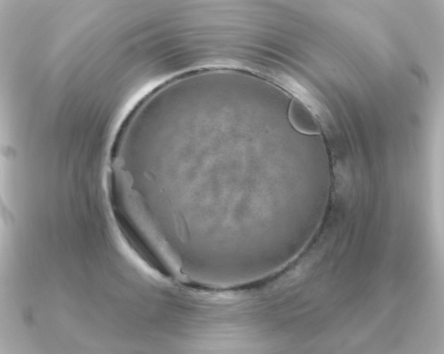 X0000091231084200708091413