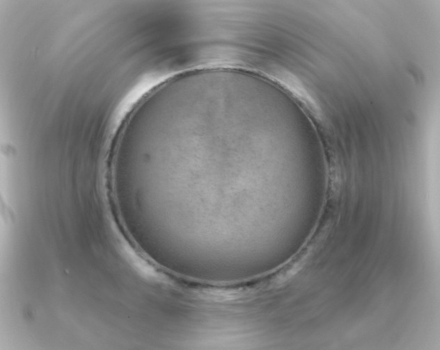 X0000091231086200708091413