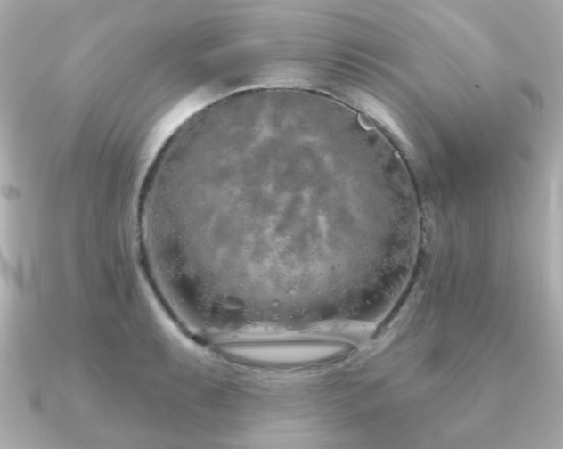 X0000091231087200708091413