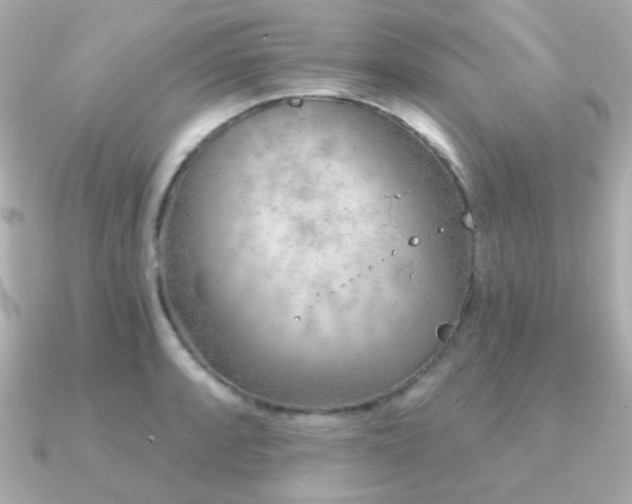 X0000091231088200708091413