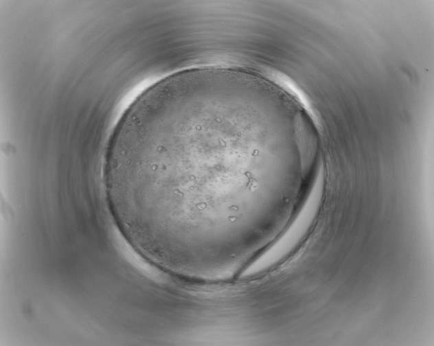 X0000091231091200708091413