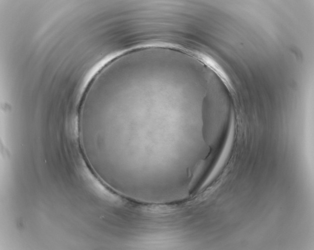 X0000091231092200708091413