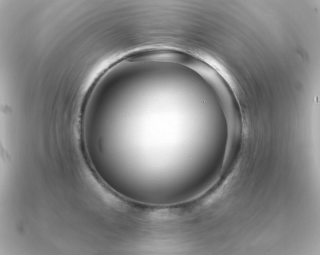X0000091231093200708091413
