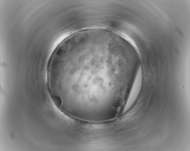 X0000091231095200708091413