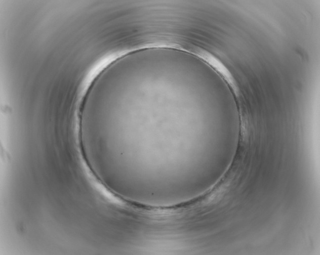 X0000091231096200708091413