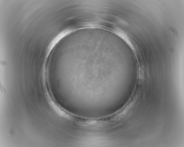 X0000091231098200708091413