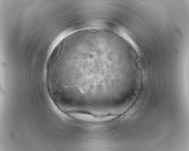 X0000091231099200708091413