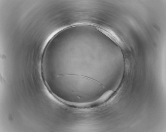 X0000091231100200708091413