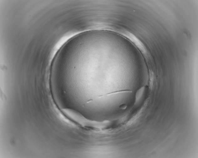 X0000091231102200708091413