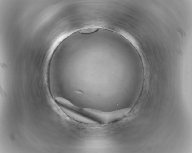 X0000091231104200708091413