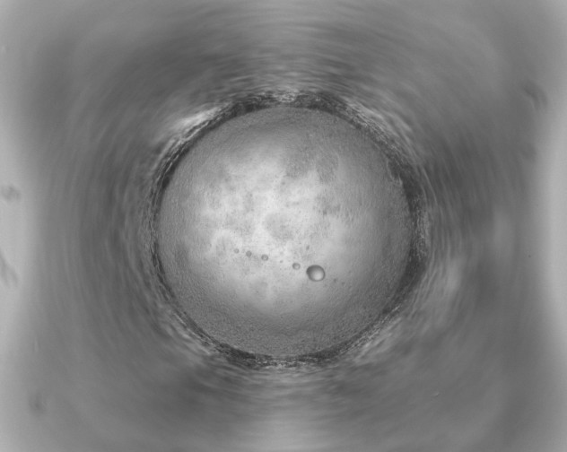 X0000091231105200708091412