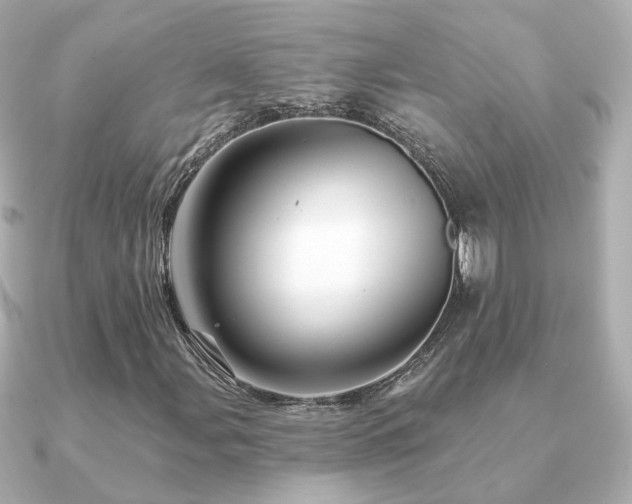 X0000091231107200708091413