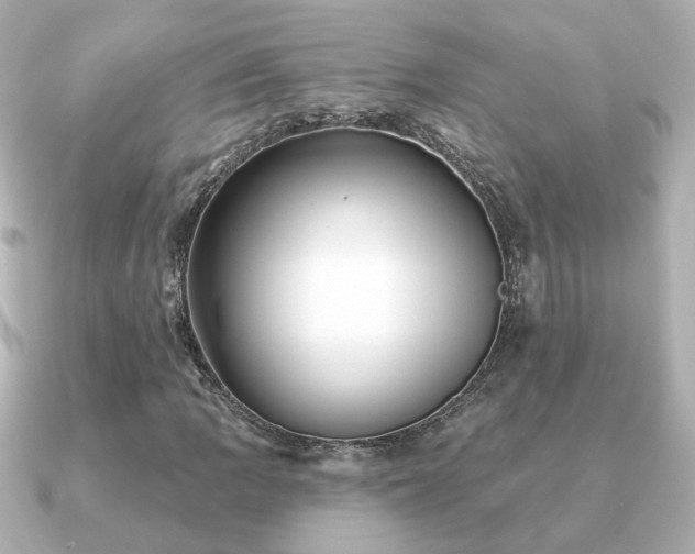 X0000091231109200708091413