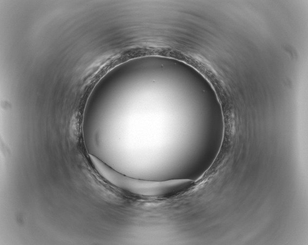 X0000091231110200708091413