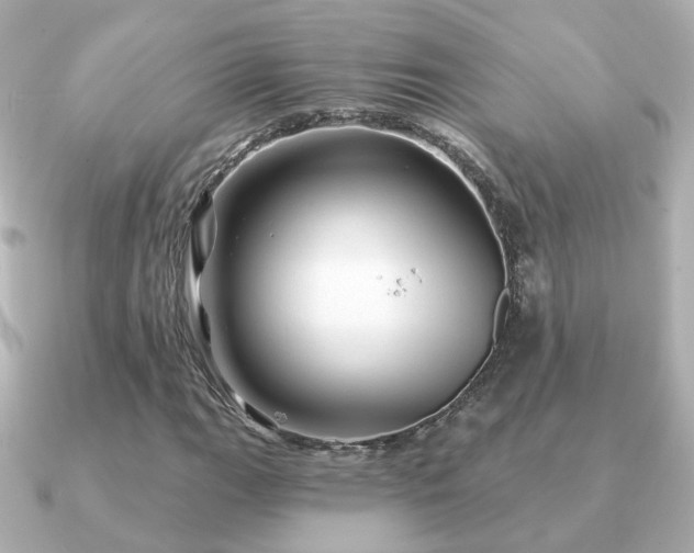 X0000091231111200708091413