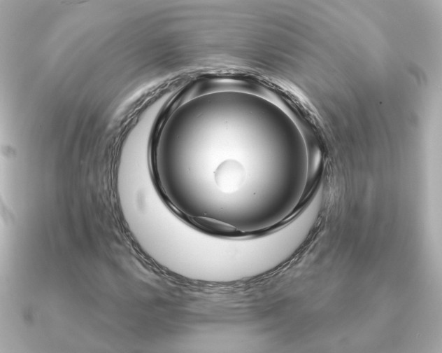 X0000091231112200708091413