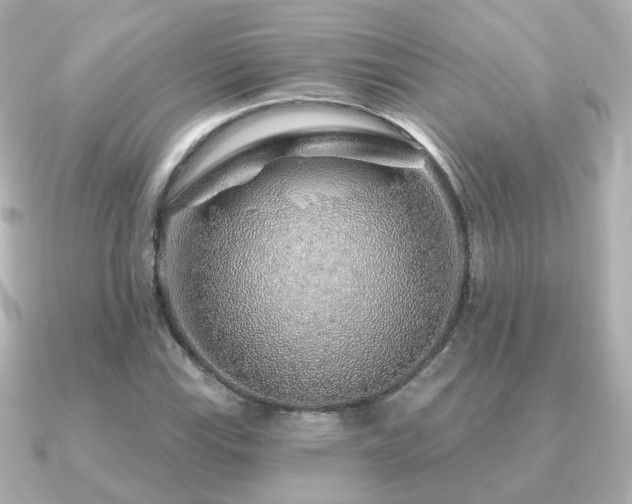 X0000091231115200708091413