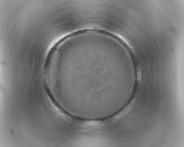 X0000091231117200708091413