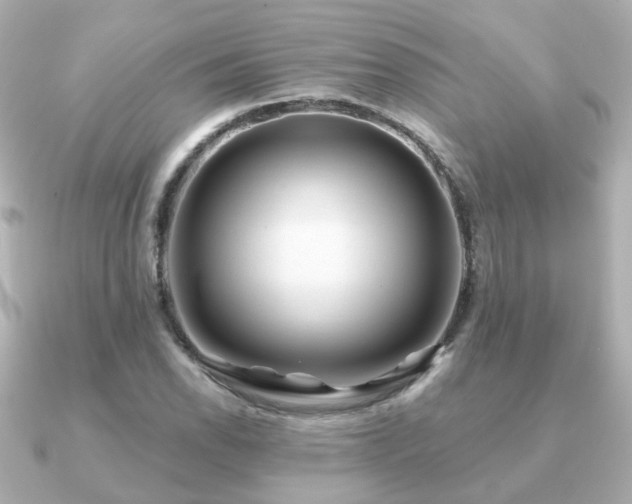X0000091231118200708091413