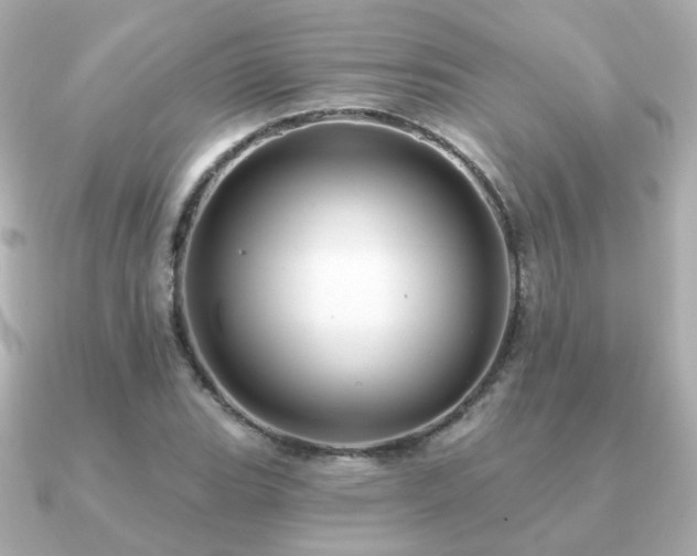 X0000091231119200708091413