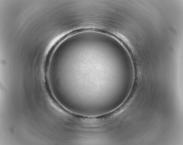 X0000091231120200708091413