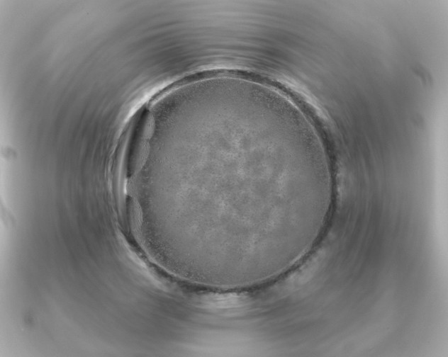 X0000091231121200708091413