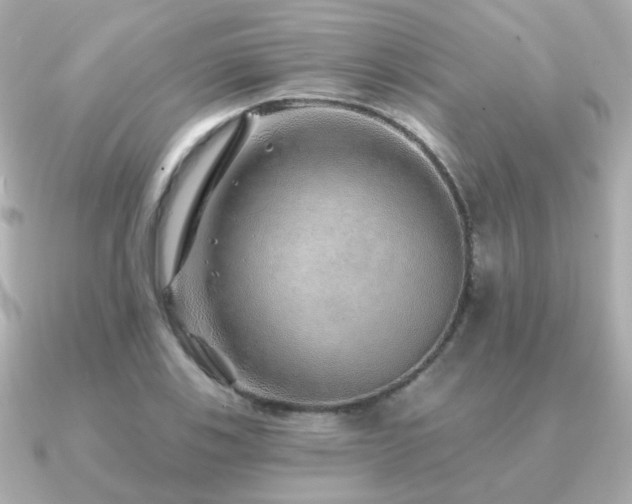 X0000091231123200708091413