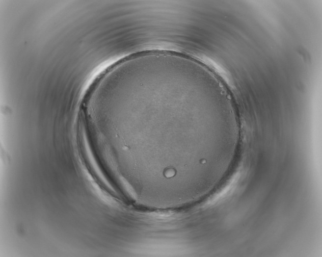 X0000091231125200708091413