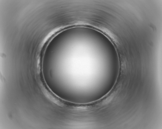 X0000091231126200708091413