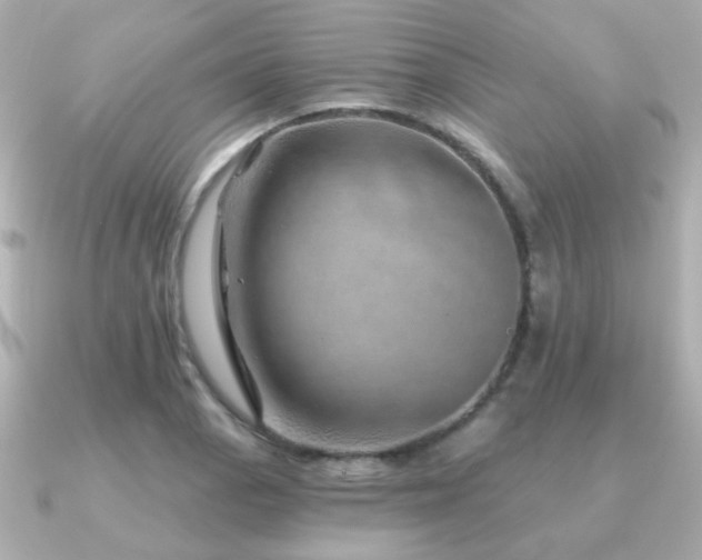 X0000091231129200708091413