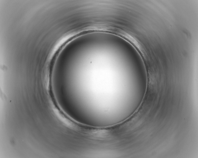 X0000091231131200708091413