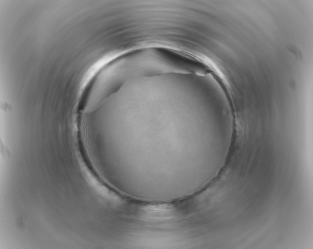 X0000091231133200708091413