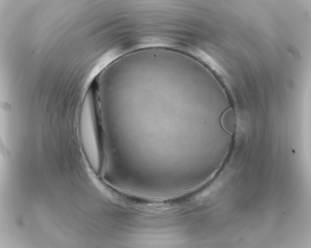 X0000091231137200708091413