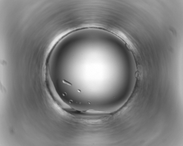 X0000091231140200708091413
